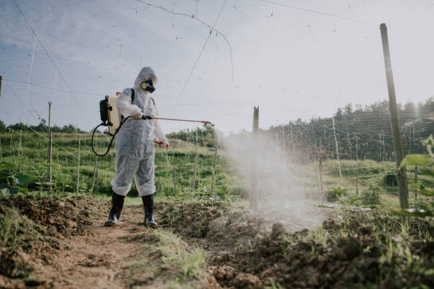 Best Affordable Pest Control Services  in Reamstown, PA