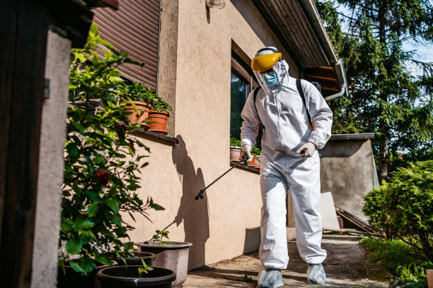 Trusted Reamstown, PA Pest Control Experts