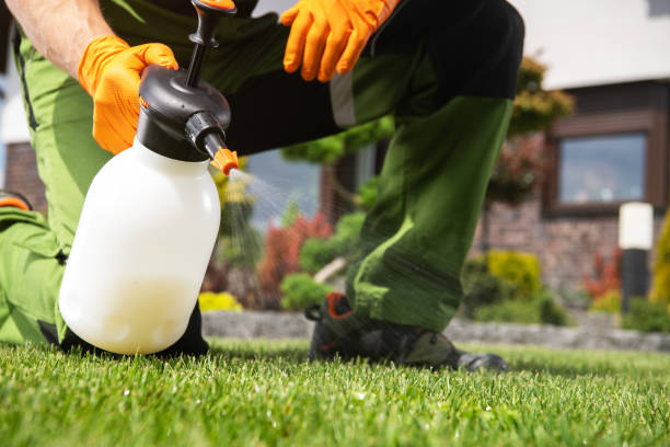 Best Termite Control Services  in Reamstown, PA