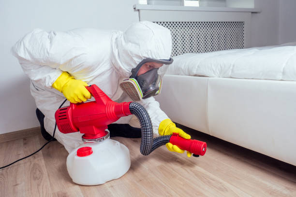Best Emergency Pest Control  in Reamstown, PA