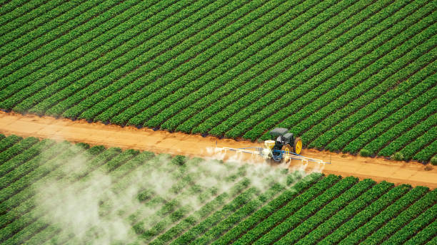 Best Ant Control Services  in Reamstown, PA