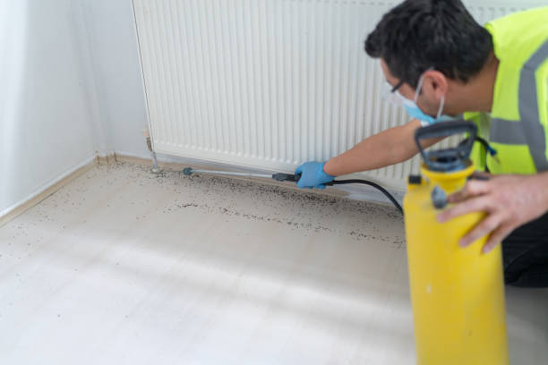 Best Flea Control Services  in Reamstown, PA